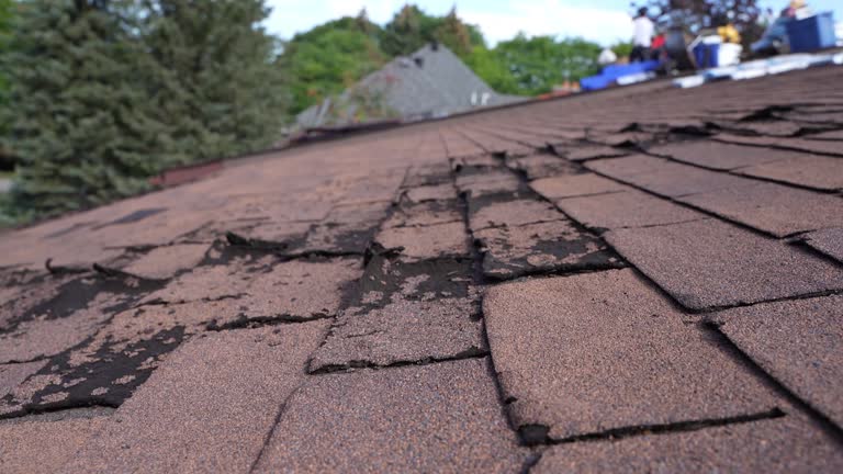 Mahanoy City, PA Roofing Services Company